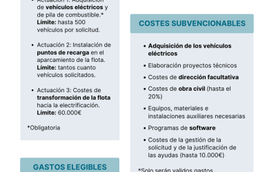 MOVES FLOTAS: segunda convocatoria del Programa de Incentivos a Proyectos de Electrificación de flotas de vehículos ligeros
