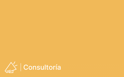 Ingeniero/a experto/a en consultoría para el sector público