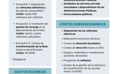 MOVES FLOTAS: 3ª convocatoria del programa de incentivos a proyectos de electrificación de flotas de vehículos ligeros