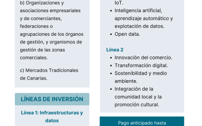 Subvenciones para la transformación del sector comercial en Canarias