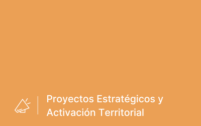 Técnico/a de proyectos estratégicos y activación territorial